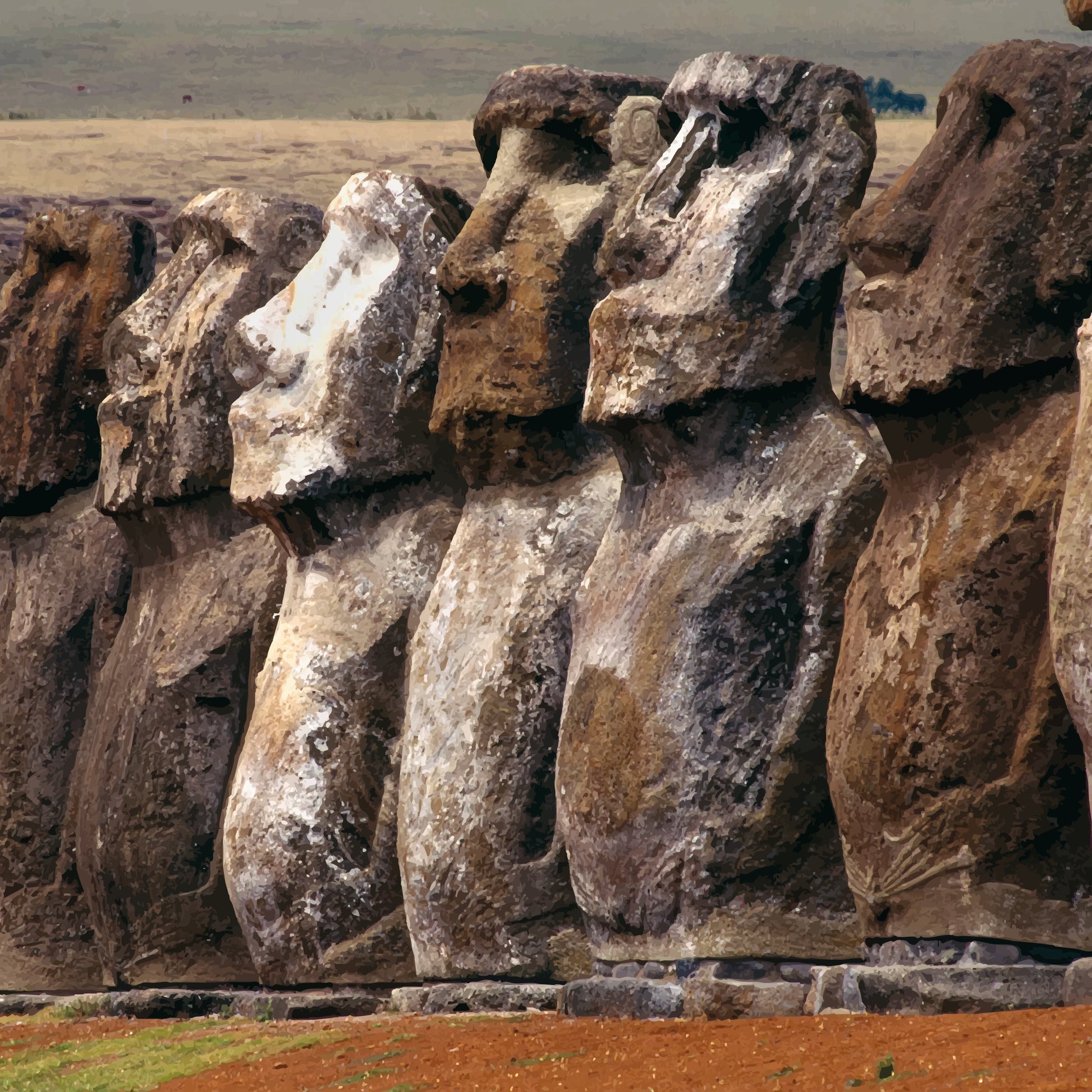 Bufanda Seda Nga Ao Moai